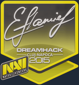 Sticker | flamie | Cluj-Napoca 2015