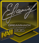 Sticker | flamie (Foil) | Cluj-Napoca 2015