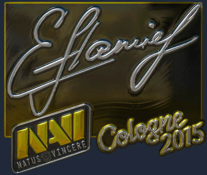 Sticker | flamie (reflectante) | Colonia 2015