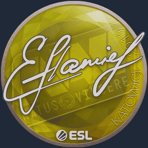 Sticker | flamie | Katowice 2019