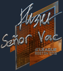 Sticker | flusha (Foil) | Boston 2018