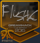 Sticker | flusha (Foil) | Cluj-Napoca 2015