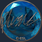 Sticker | flusha (Foil) | Katowice 2019