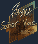 Sticker | flusha (Gold) | Boston 2018