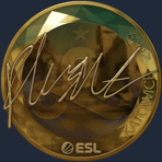 Sticker | flusha (Gold) | Katowice 2019