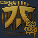 Sticker | Fnatic (Gold) | 2020 RMR