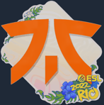 Sticker | Fnatic | Rio 2022