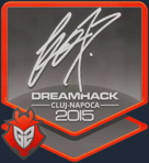 Sticker | fox | Cluj-Napoca 2015