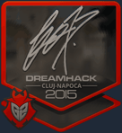 Sticker | fox (Foil) | Cluj-Napoca 2015