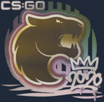 Sticker | FURIA | 2020 RMR