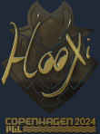 Sticker | HooXi (Gold) | Copenhagen 2024
