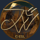 Sticker | JW (Gold) | Katowice 2019 image