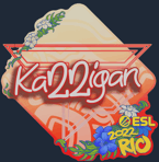 Sticker | karrigan | Rio 2022