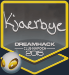 Sticker | Kjaerbye | Cluj-Napoca 2015