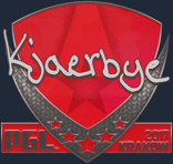 Sticker | Kjaerbye | Krakow 2017