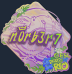 Sticker | n0rb3r7 (Holo) | Rio 2022