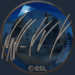 Sticker | NAF (Foil) | Katowice 2019