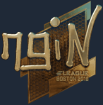 Sticker | ngiN (Gold) | Boston 2018