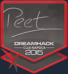 Sticker | peet | Cluj-Napoca 2015