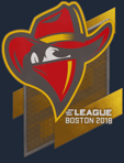 Sticker | Renegades | Boston 2018