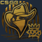 Sticker | Renegades (Gold) | 2020 RMR image