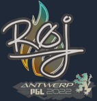 Sticker | roeJ | Antwerp 2022