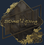 Sticker | sdy (Gold) | Rio 2022