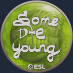 Sticker | sdy | Katowice 2019