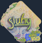 Sticker | siuhy (Holo) | Rio 2022