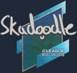 Sticker | Skadoodle | Boston 2018