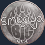 Sticker | smooya | Katowice 2019