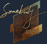 Sticker | somebody (Gold) | Boston 2018