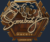 Sticker | somebody (Gold) | London 2018