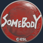 Sticker | somebody | Katowice 2019
