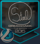 Sticker | steel (Foil) | Cluj-Napoca 2015