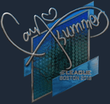 Sticker | Summer (Foil) | Boston 2018