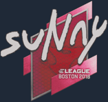 Sticker | suNny | Boston 2018