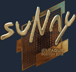 Sticker | suNny (Gold) | Boston 2018