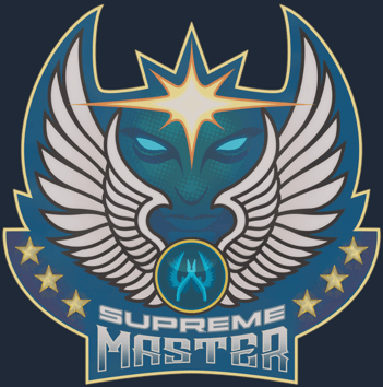 Sticker | Oberster Meister erster Klasse