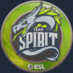 Sticker | Team Spirit | Katowice 2019