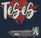 Sticker | TeSeS | Antwerp 2022