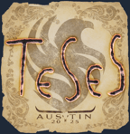 Sticker | TeSeS | Austin 2025