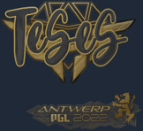Sticker | TeSeS (Gold) | Antwerp 2022