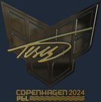 Sticker | TeSeS (Gold) | Copenhagen 2024
