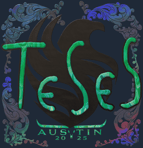 Sticker | TeSeS (Holo) | Austin 2025