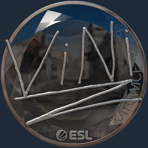 Sticker | VINI (Foil) | Katowice 2019