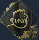 Sticker | VINI (Gold) | Rio 2022 Sticker | VINI (Gold) | Rio 2022 image