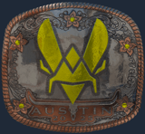 Sticker | Vitality (Foil) | Austin 2025