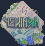 Sticker | YEKINDAR (Holo) | Rio 2022