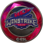 Sticker | Winstrike Team (Foil) | Katowice 2019 Sticker | Winstrike Team (Foil) | Katowice 2019 image